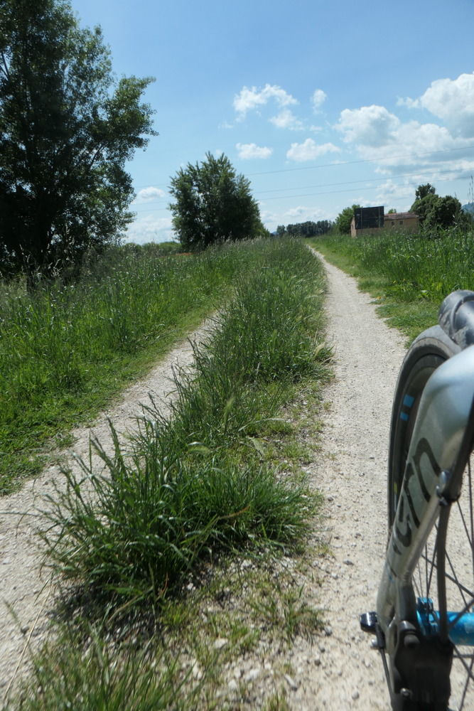 p1003335.jpg