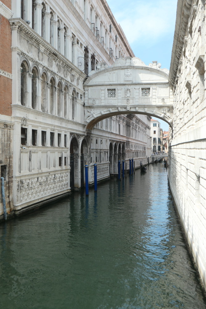p1003430.jpg