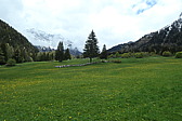 p1003161.jpg