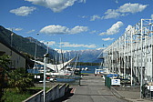 p1003239.jpg