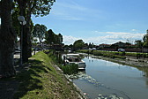 p1003339.jpg