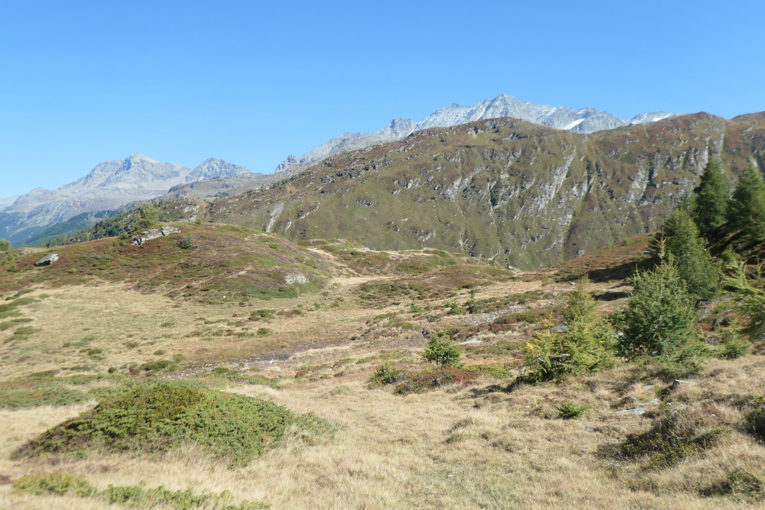 p1004500.jpg