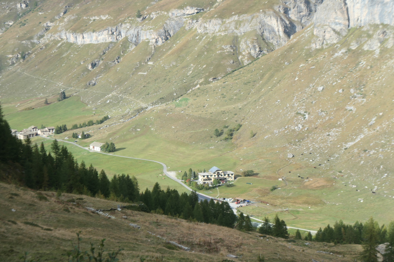 p1004513.jpg