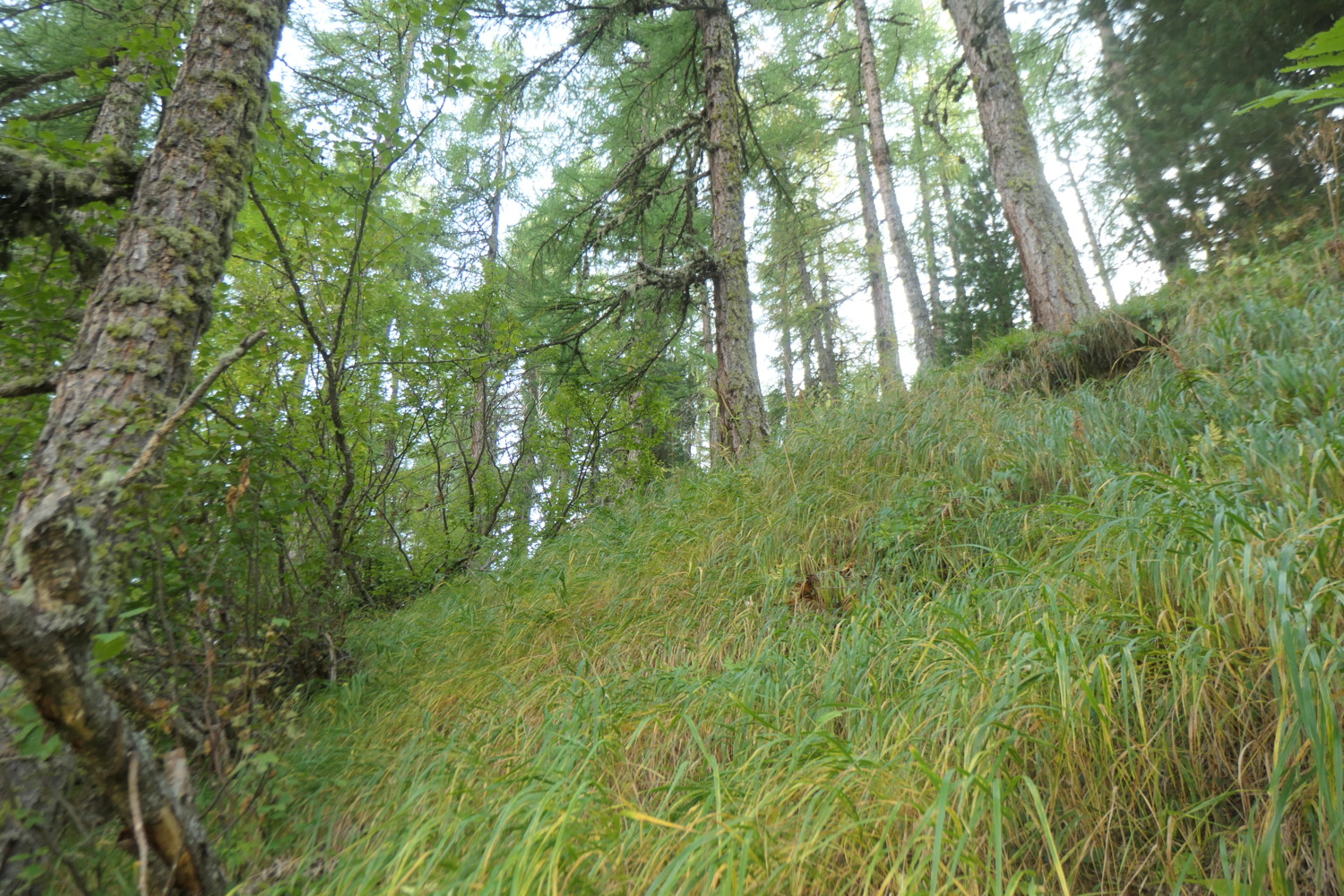 p1004515.jpg