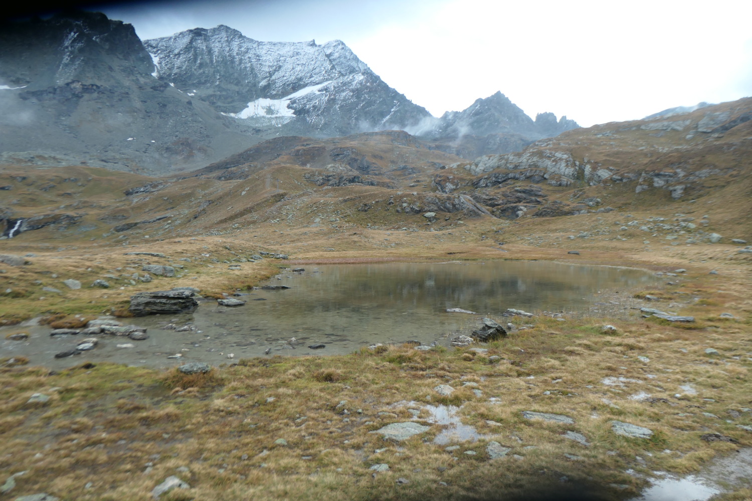 p1004534.jpg