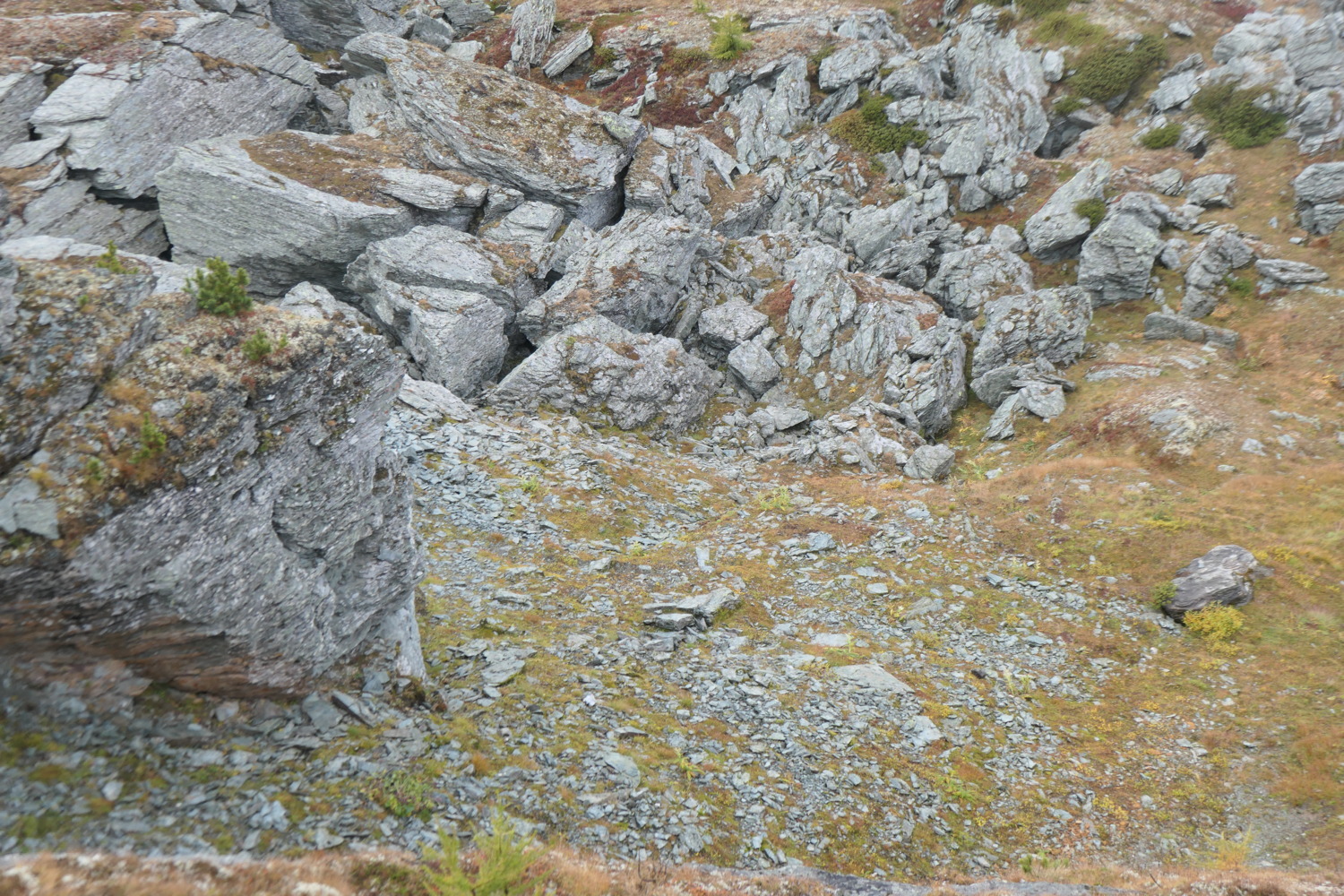 p1004536.jpg