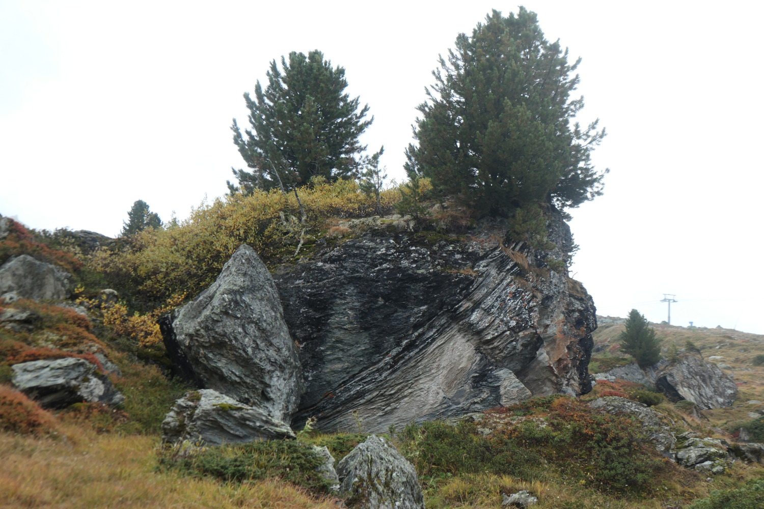 p1004537.jpg