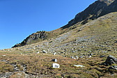 p1004489.jpg