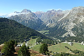 p1004491.jpg