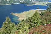 p1004496.jpg