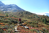 p1004499.jpg