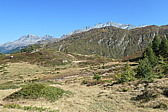 p1004500.jpg