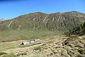 p1004501.jpg