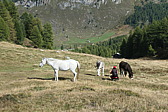 p1004503.jpg