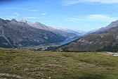 p1004511.jpg