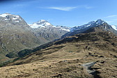 p1004512.jpg