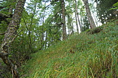 p1004515.jpg