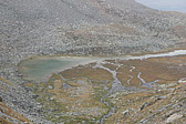 p1004531.jpg