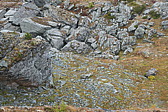 p1004536.jpg
