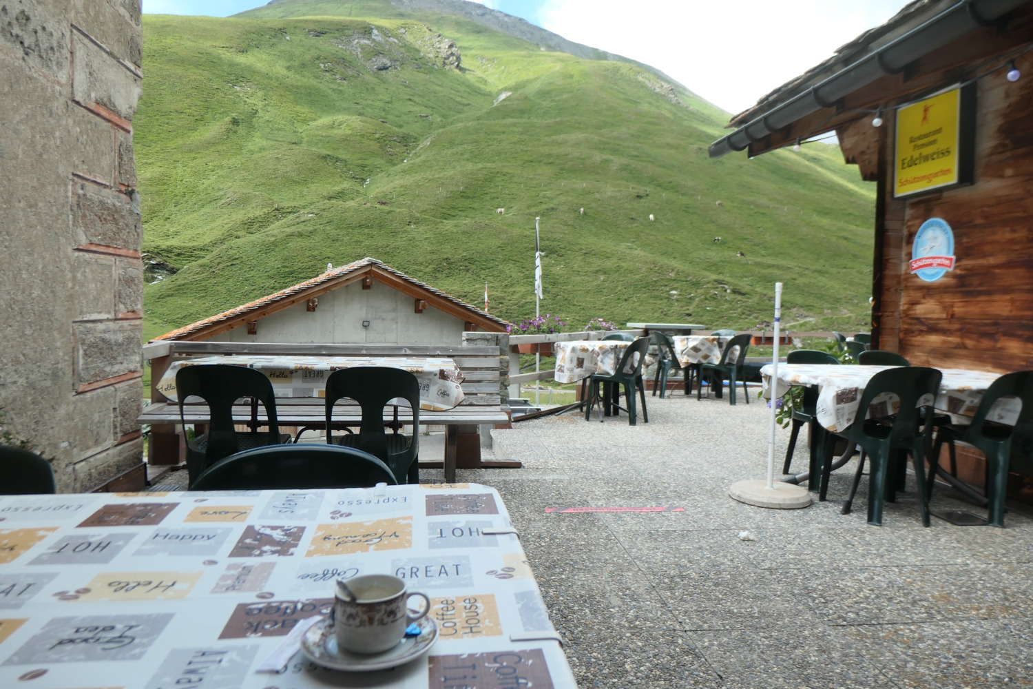 p1003733.jpg