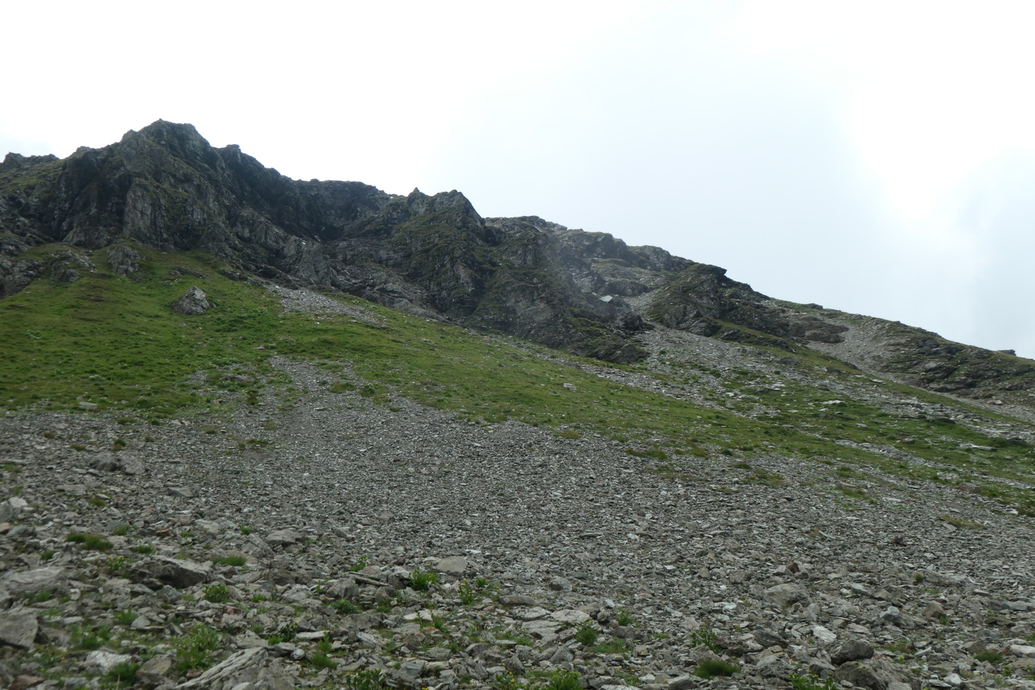 p1003746.jpg