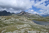 p1003739.jpg