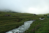 p1003749.jpg