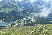 p1003768.jpg