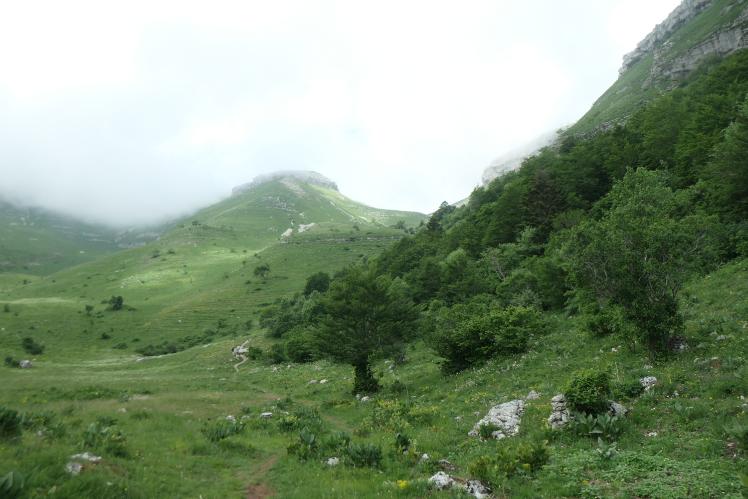 p1003575.jpg