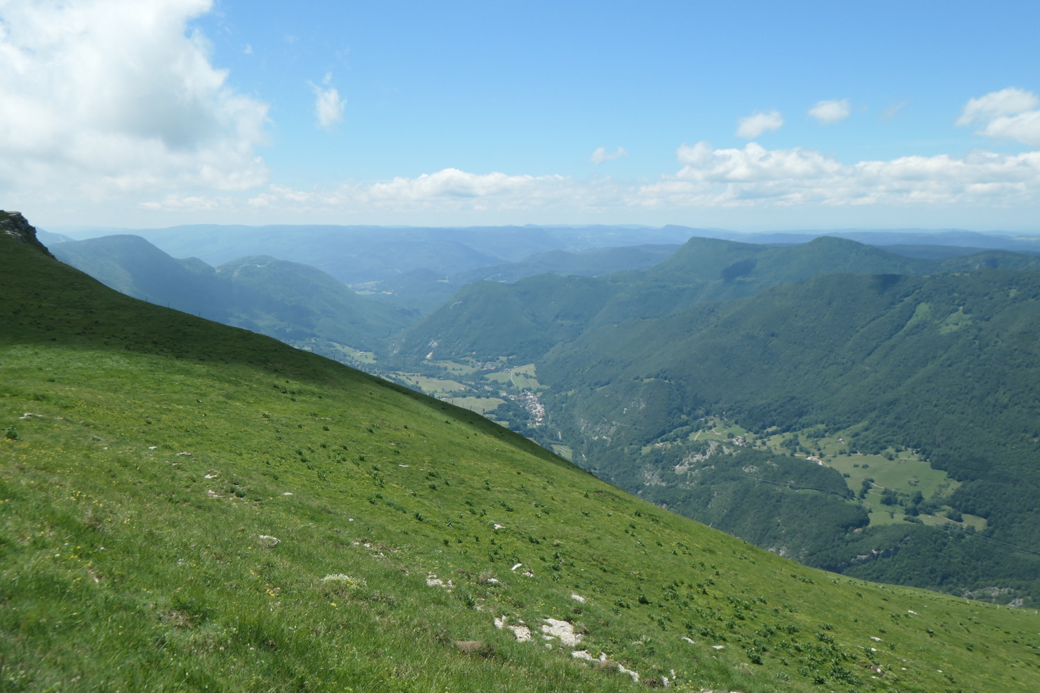 p1003586.jpg