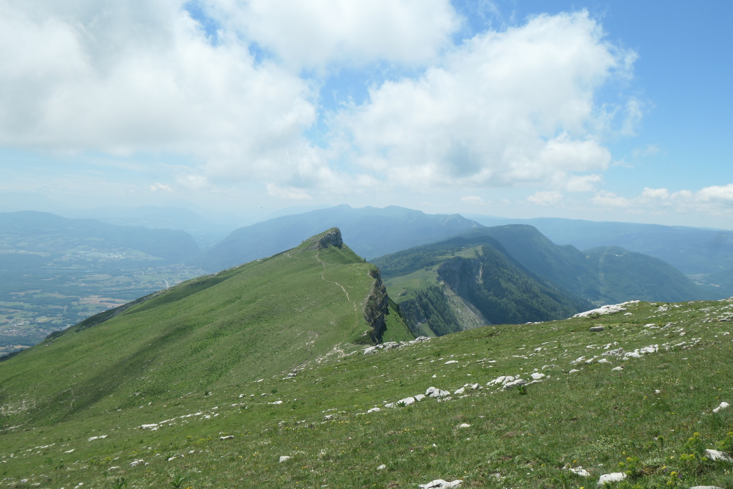 p1003590.jpg