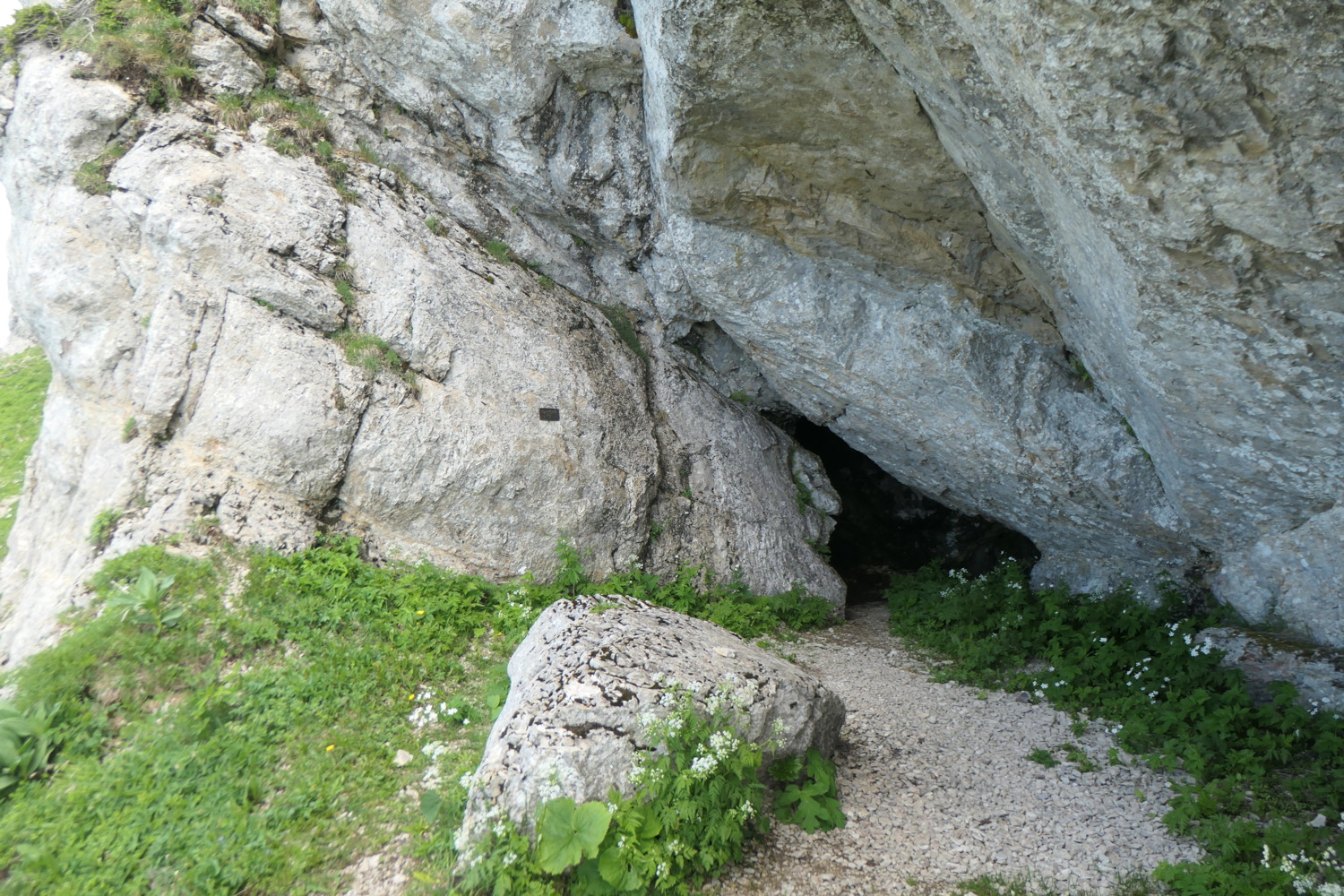 p1003594.jpg