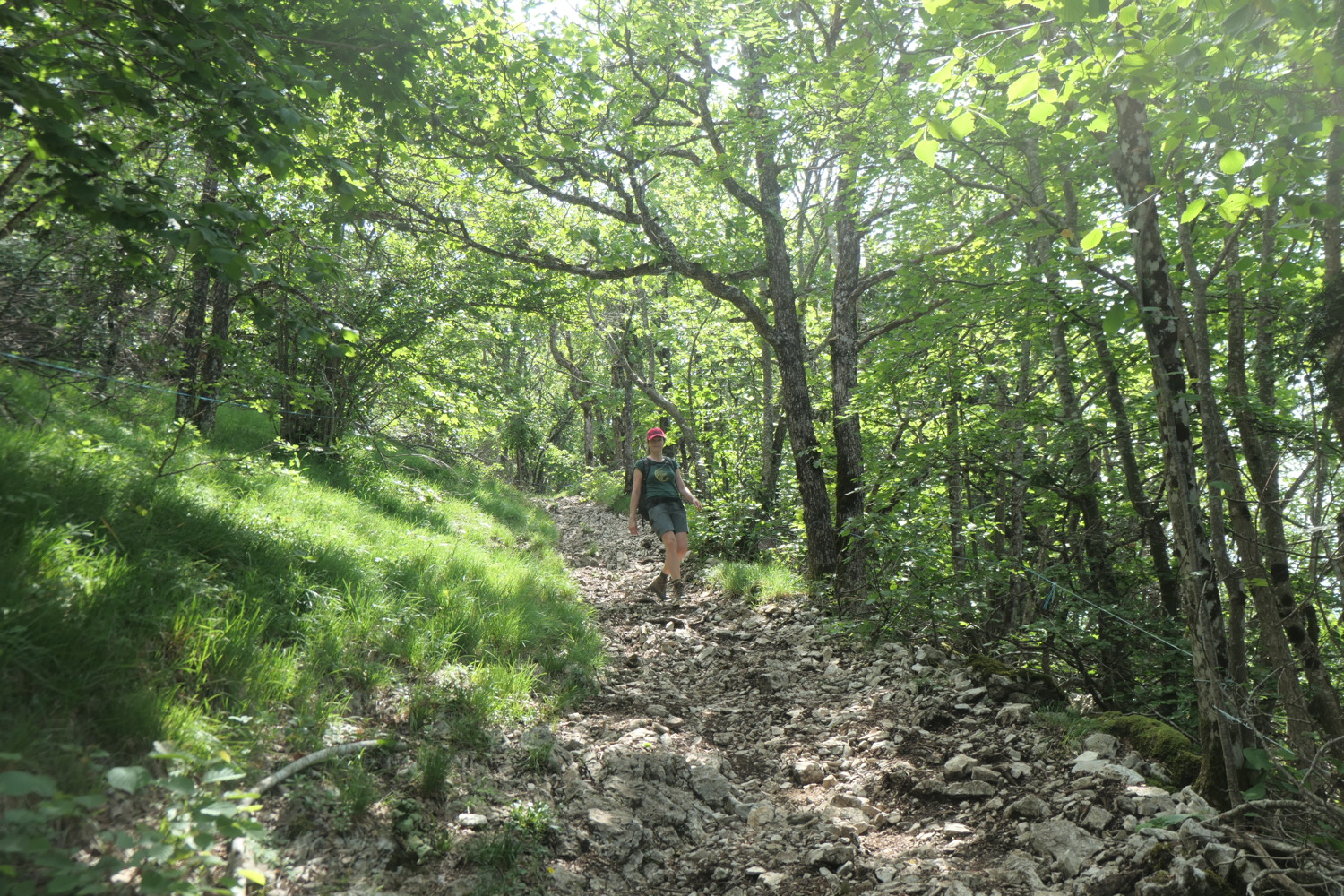 p1003620.jpg
