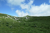 p1003585.jpg