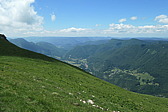 p1003586.jpg