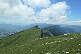 p1003590.jpg