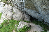 p1003594.jpg