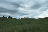 p1003612.jpg