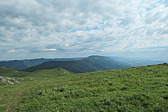 p1003614.jpg