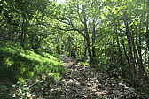 p1003620.jpg