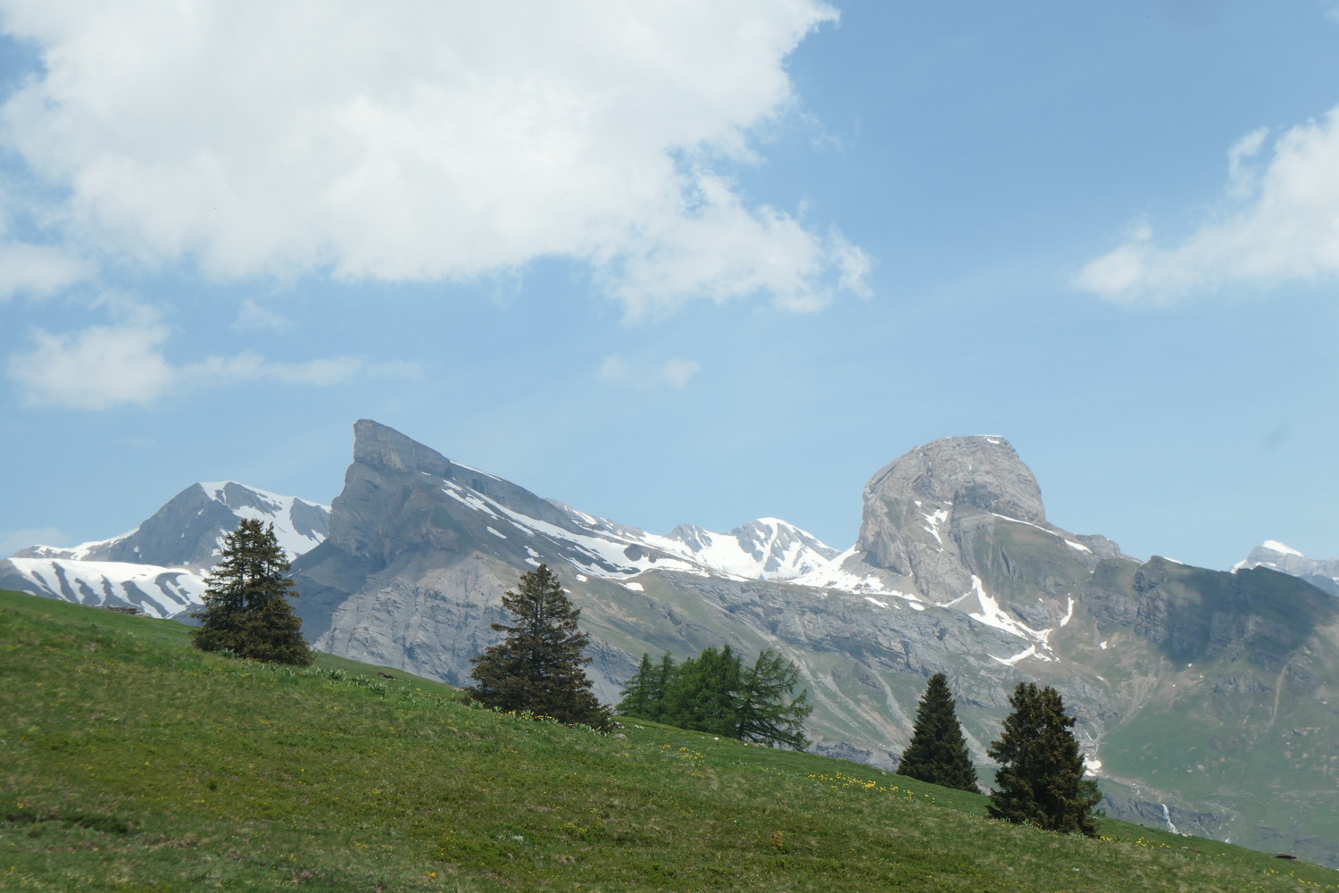 p1003467.jpg