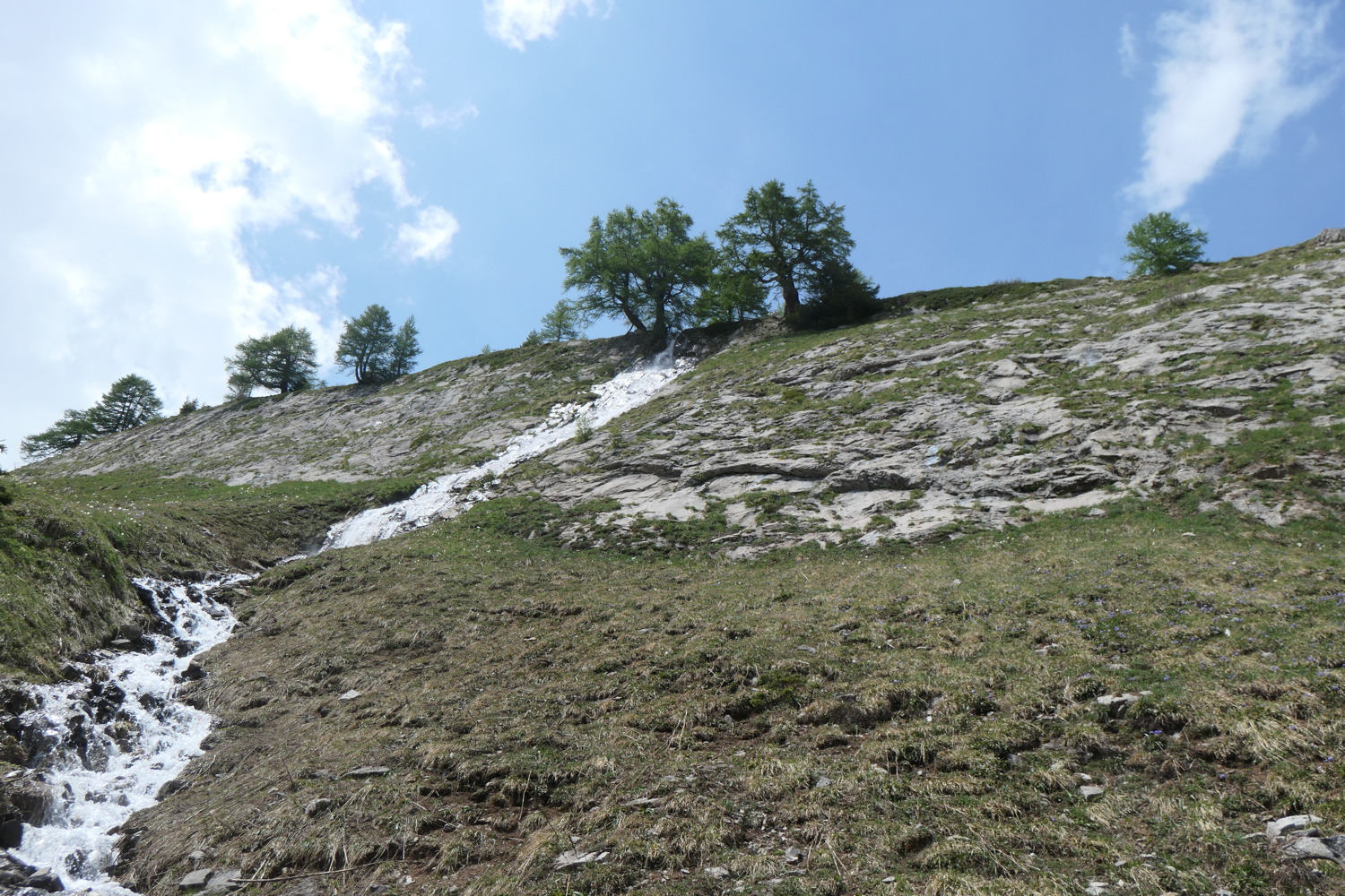 p1003477.jpg