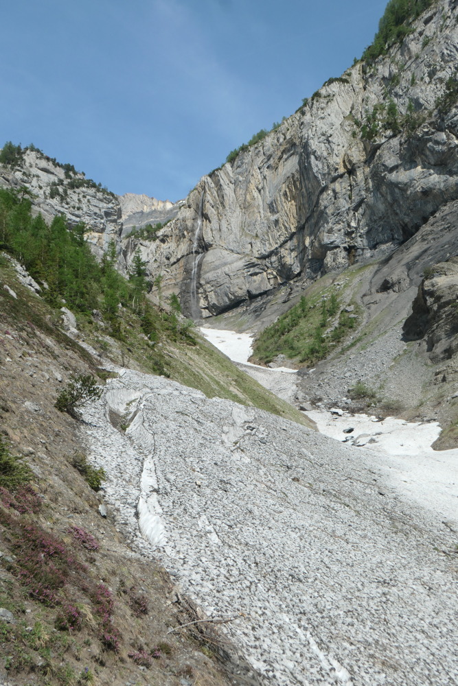 p1003494.jpg