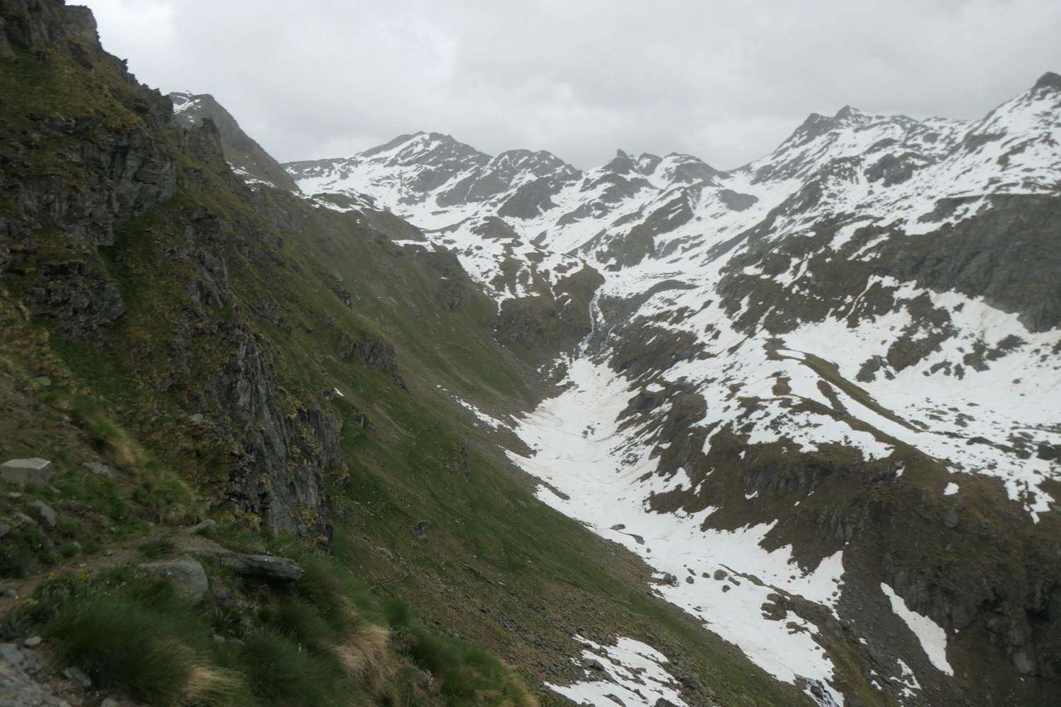 p1003551.jpg