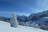 p1002300.jpg