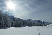 p1002304.jpg