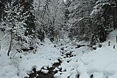 p1002309.jpg
