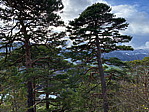 img_2735.heic