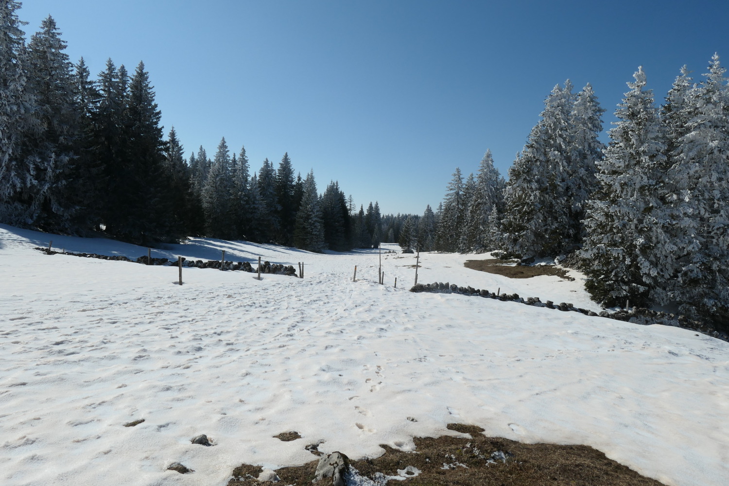 p1002491.jpg