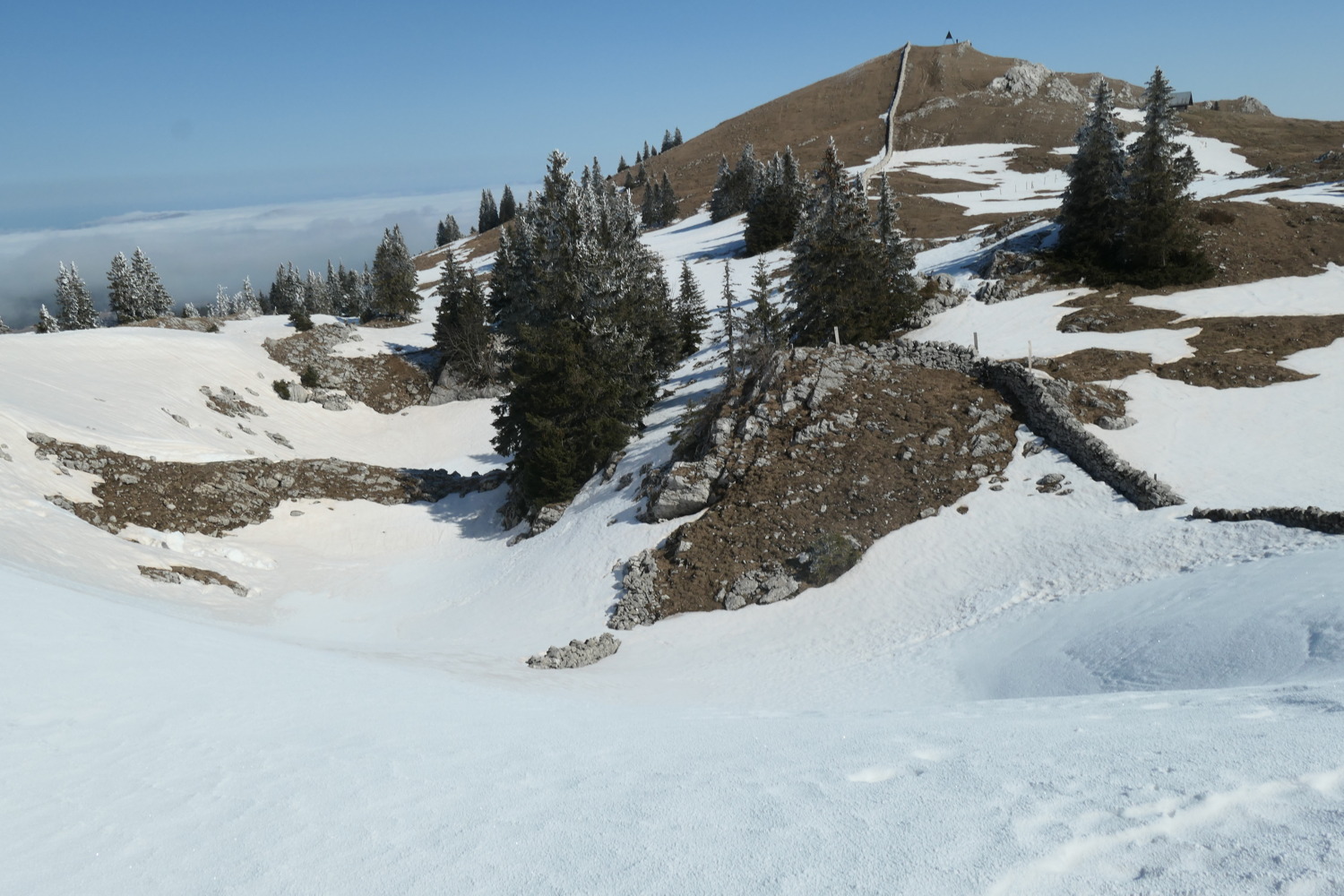 p1002497.jpg